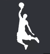 Immaculate Grid Basketball