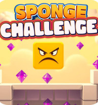 Sponge Challenge